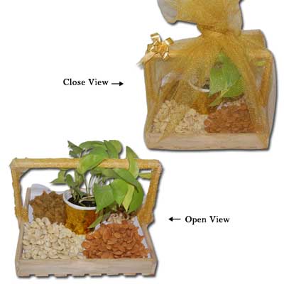 "Hourly Hamper - Code 11 - Click here to View more details about this Product